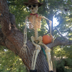 Look out or skeletons hiding in the trees