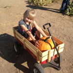Take a ride through the pumpkin patch