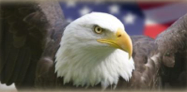 Soaring Eagle Press