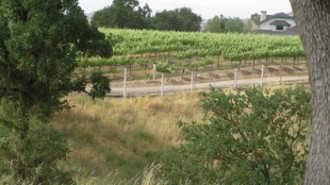 Paso Robles AVA