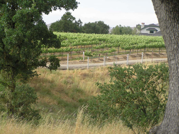 Paso Robles AVA