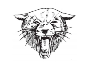 Bearcats fundraiser