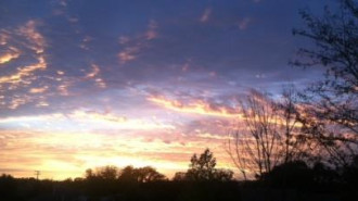 rainfall in the forecast