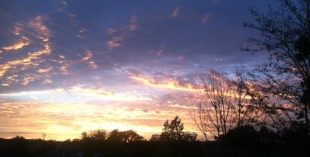 rainfall in the forecast