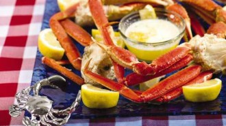 crab feed
