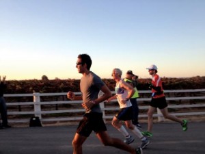 Wine Country Half Marathon and 5k