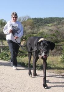 Dog Jog, Paso Robles