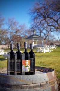 Peachy Canyon, Paso Robles, Ms. Behave