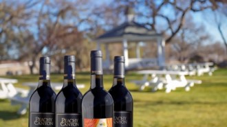 Peachy Canyon, Paso Robles, Ms. Behave