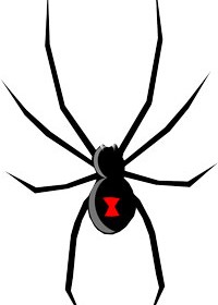 Best pest control services in Paso Robles