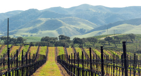 Highlight-PasoRobles-Image