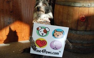wine 4 paws