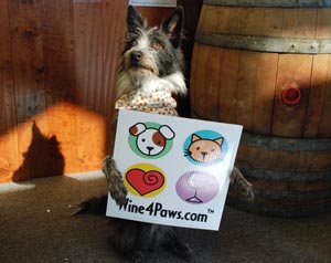 wine 4 paws
