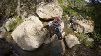 Dawn to Dusk, All Out Events