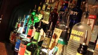 Best bar Paso Robles