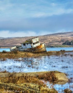 MM Library show-8 --1