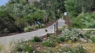 Salinas Trail, Paso Robles River Walk