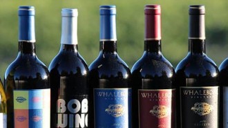 Whalebone Vineyard