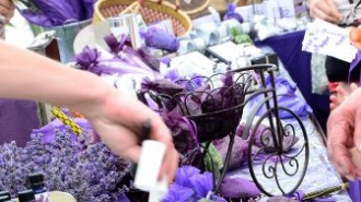Lavender Festival, Paso Robles, Central Coast Lavender Association