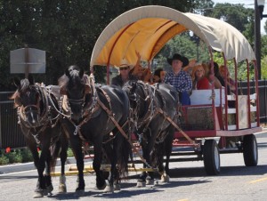 Harris Stage Lines, CMSF