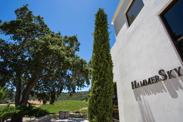 Hammersky Vineyards