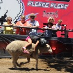 Mutton Bustin’ is setup near the South Gates at the fair. Photo by Heather Young