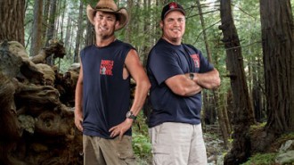 Redwood Kings