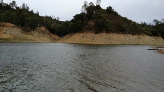Lake Nacimiento Water Level
