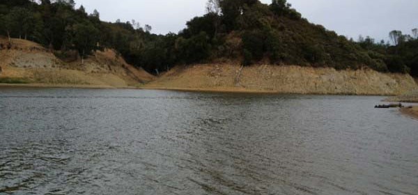 Lake Nacimiento Water Level