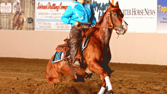 National Stock Horse Association Paso Robles