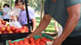 Chef Santos MacDonal