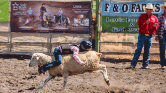Creston Class Rodeo mutton bustin'