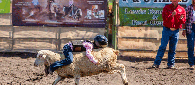 Creston Class Rodeo mutton bustin'