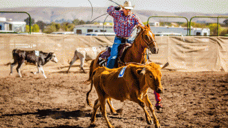Creston Classic Rodeo