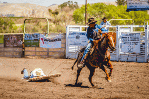 Creston Classic Rodeo Hide Race