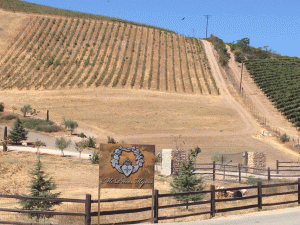McPrice Myers Barrel 27 Carina Cellars wine Paso Robles