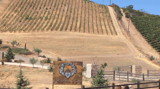 McPrice Myers Barrel 27 Carina Cellars wine Paso Robles