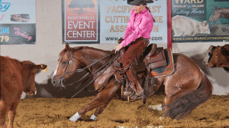 Pacific Coast Cutting Horse Association