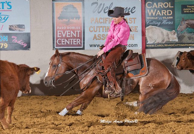 Pacific Coast Cutting Horse Association