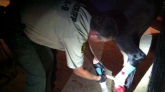 SLO County Sheriff, Cupid the hors