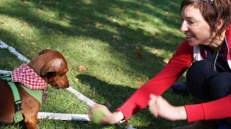 Dogtoberfest Atascadero