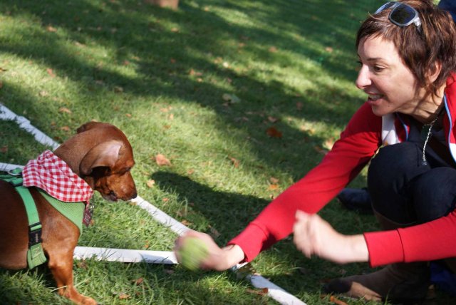 Dogtoberfest Atascadero