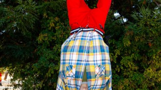Cambria Scarecrows