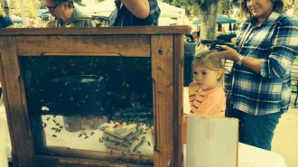 Golden Oak Honey Festival