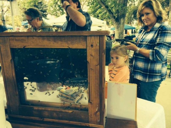 Golden Oak Honey Festival