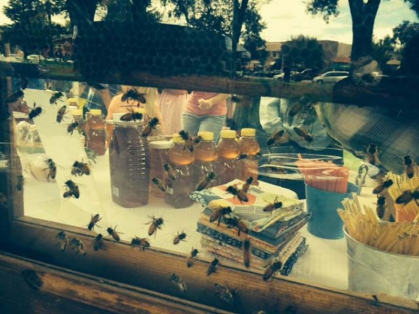 honey-festival
