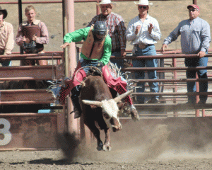 Mid-State Rodeo