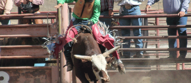 Mid-State Rodeo