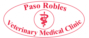 Paso Robles Veterinary Medical Clinic, holiday gifts, Paso Robles