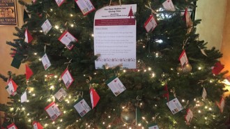 Paso Robles Inn giving tree